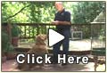 Dog Training Video Clips