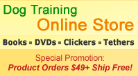 Online Dog Training