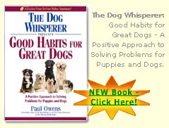 Dog Problem Solving Book